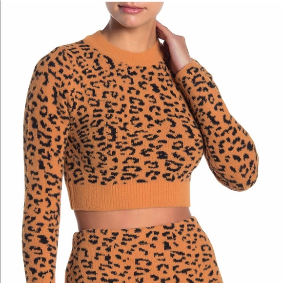 Matching Cheetah Set - Picture 2 of 5